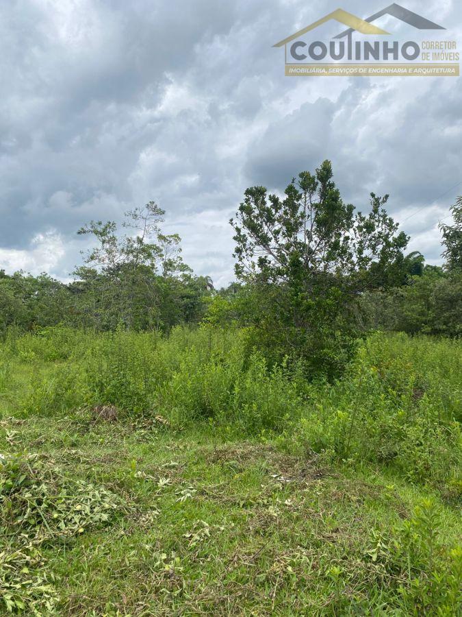 WhatsApp Image 2026-01-29 at 20.11.52 (1).jpeg